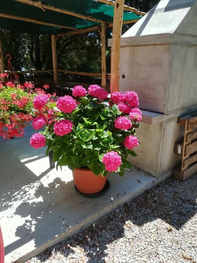 Stela Pinezići Exterior foto